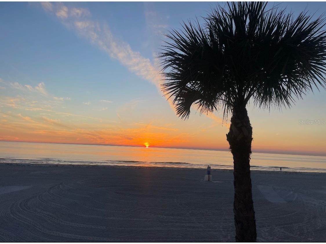 17610 Lee Avenue Redington Shores FL 33708 TB8489690 image4