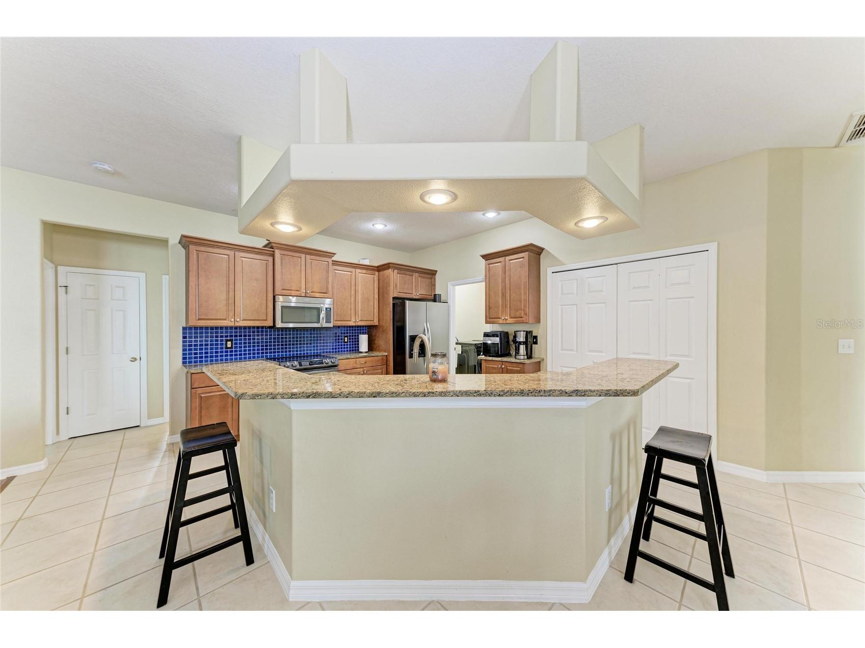 17612 White Fox Drive Parrish FL 34219 A4692241 image10