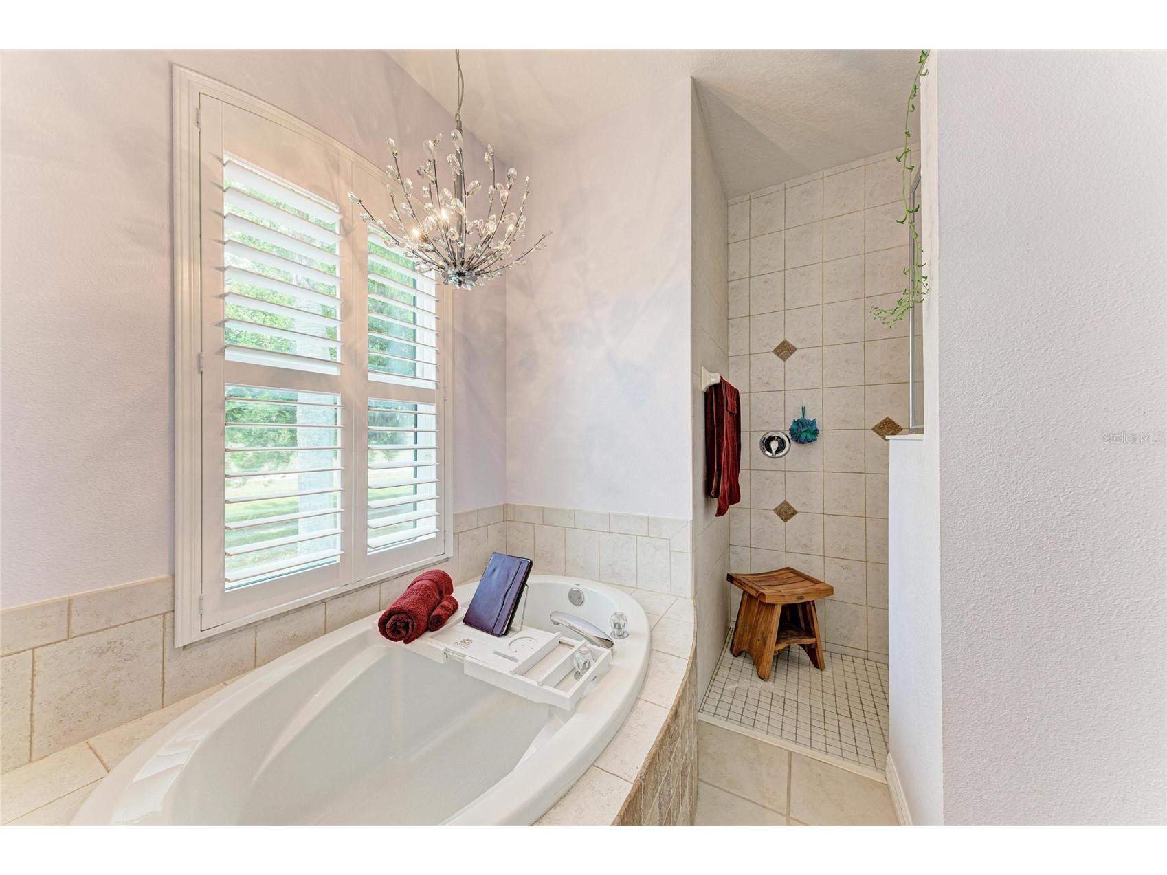 17612 White Fox Drive Parrish FL 34219 A4692241 image7