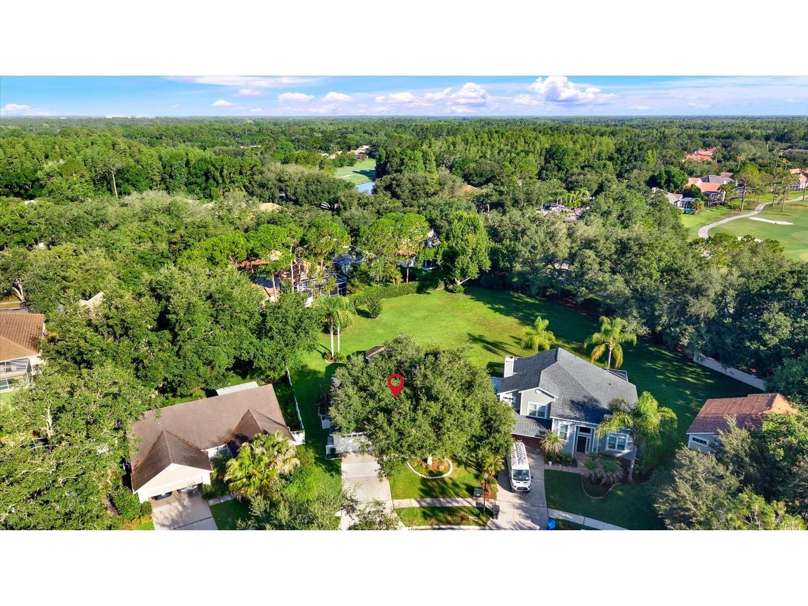 17613 Esprit Drive Tampa FL 33647 TB8521102 image24