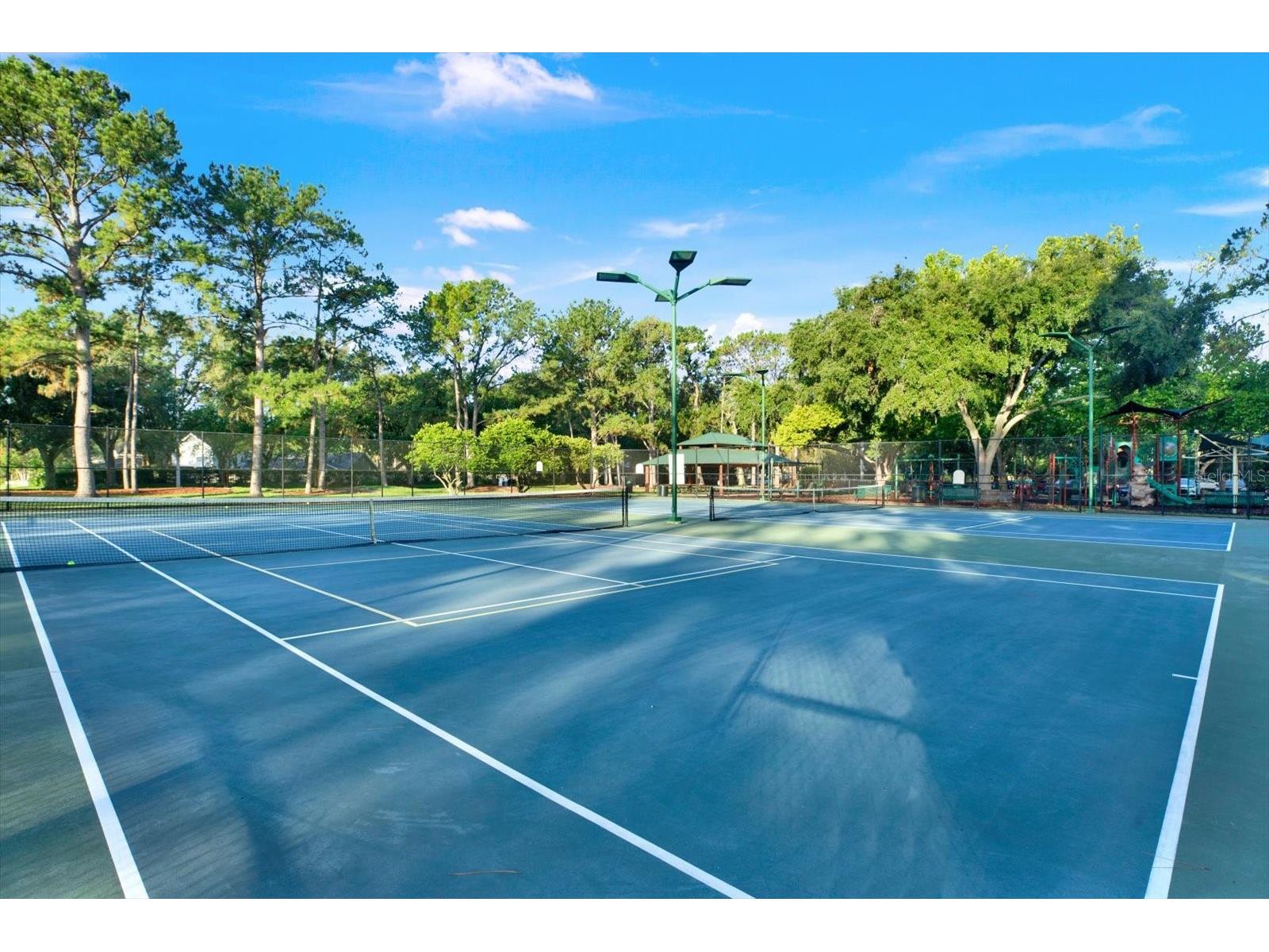 17613 Esprit Drive Tampa FL 33647 TB8521102 image28
