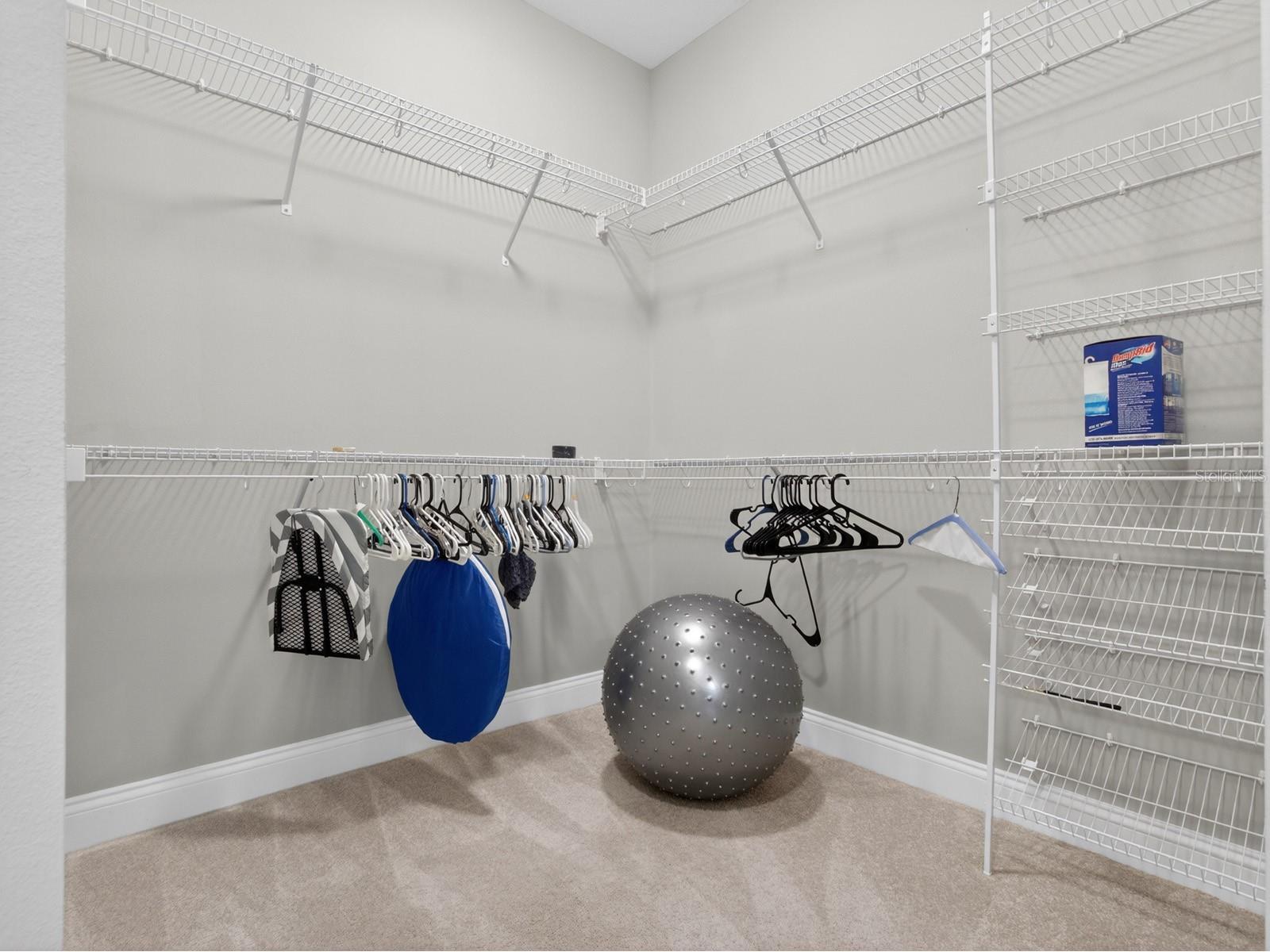 17614 Sailfin Drive Orlando FL 32820 O6410238 image24