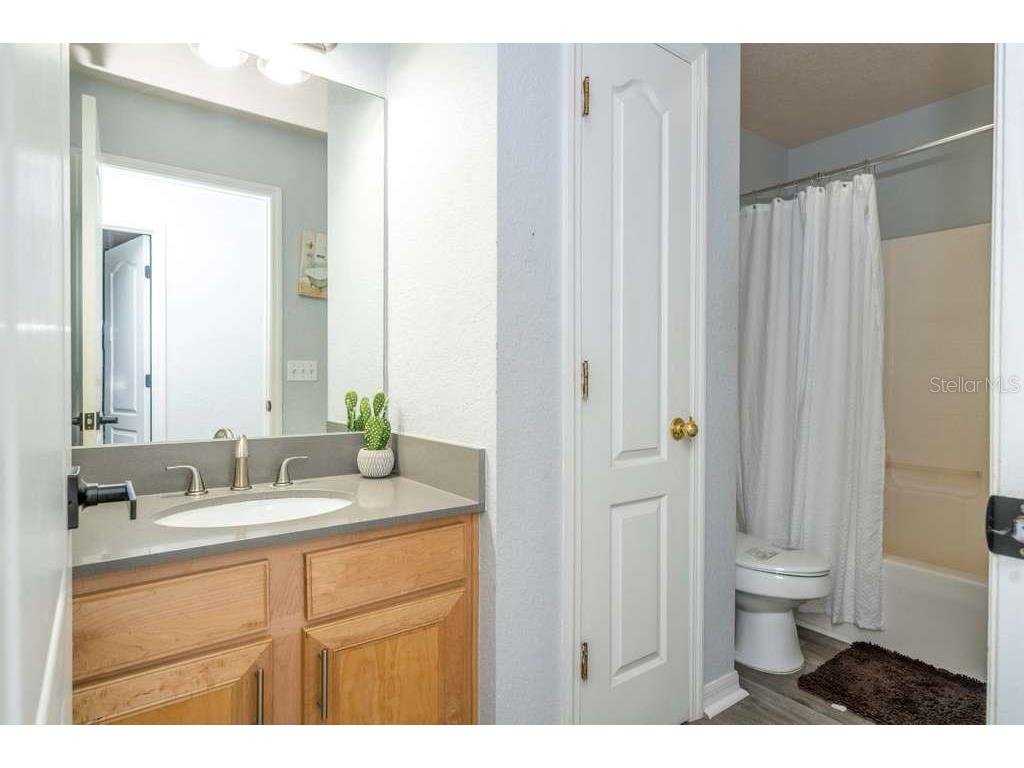 17614 Woodcrest Way Clermont FL 34714 O6399649 image54