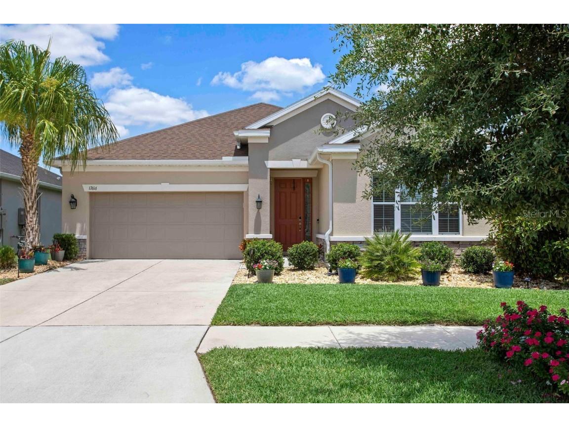 17616 Buckingham Garden Drive Lithia FL 33547 T3444939 image1