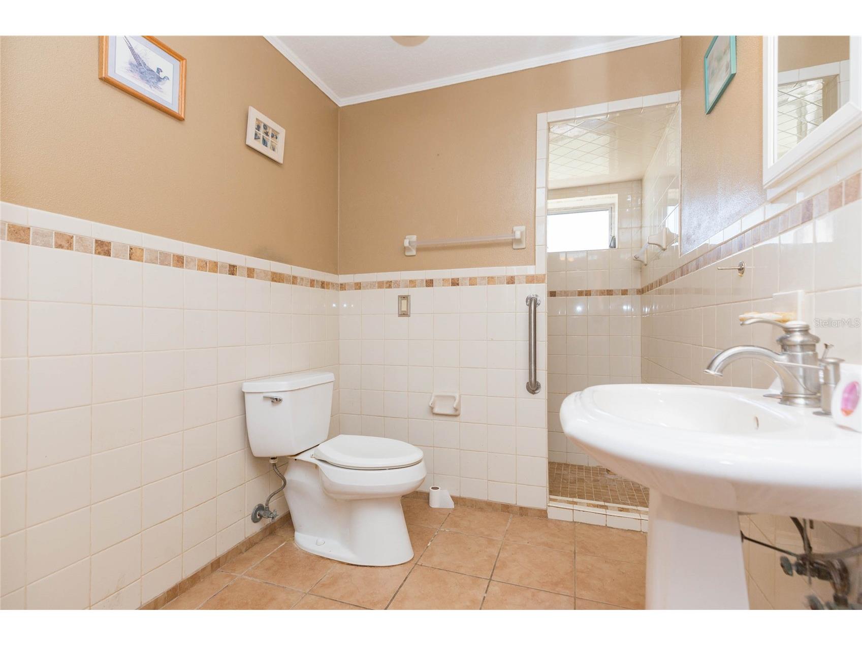 17616 Eagle Lane Lutz FL 33558 TB8489388 image11
