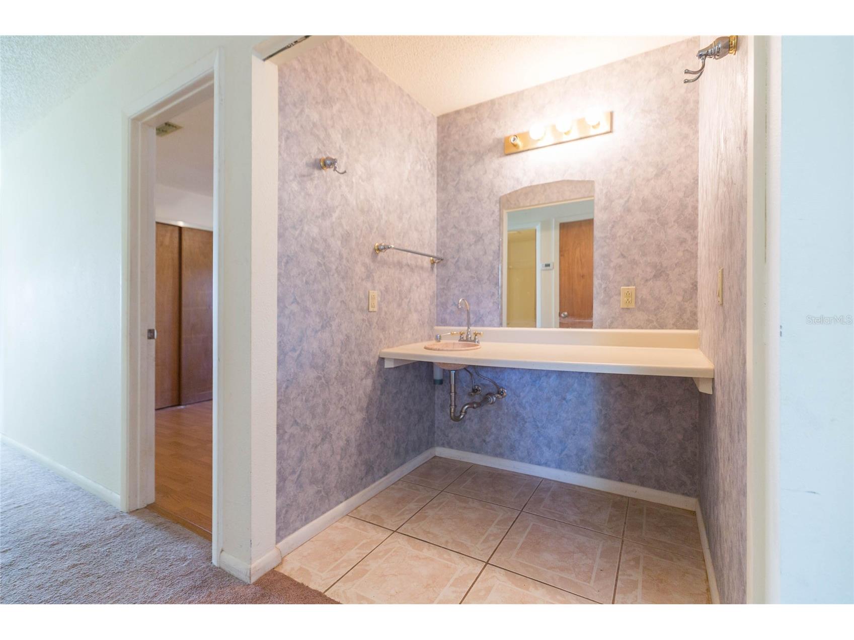 17616 Eagle Lane Lutz FL 33558 TB8489388 image28