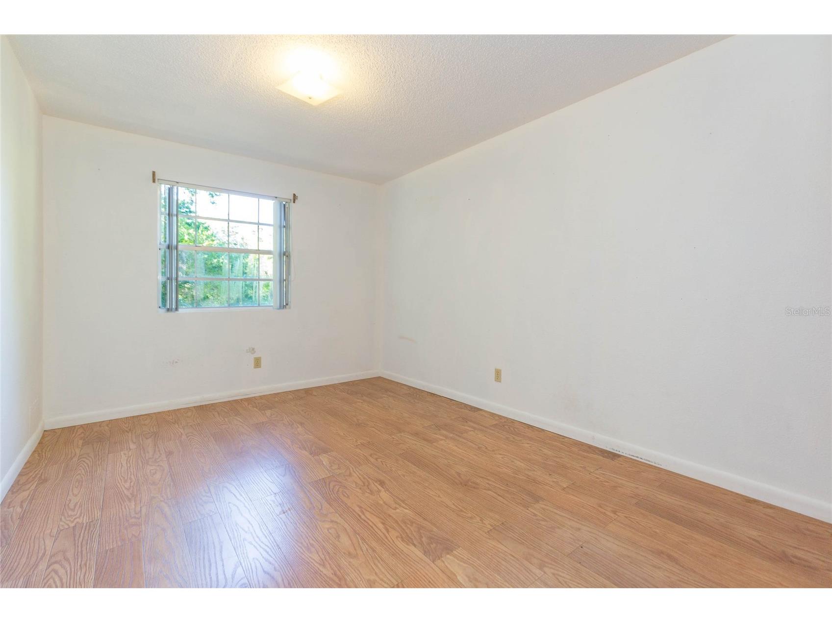 17616 Eagle Lane Lutz FL 33558 TB8489388 image29