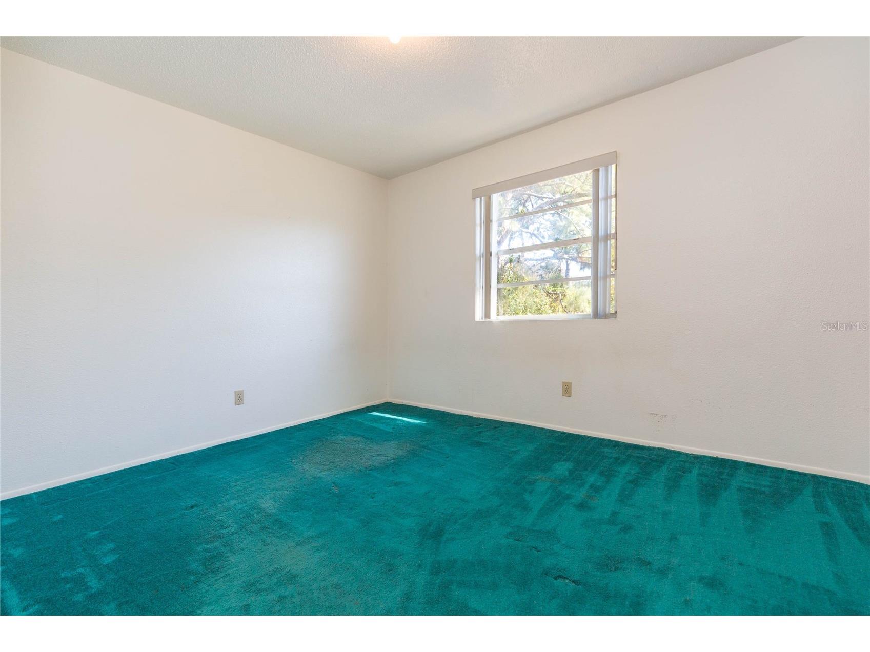 17616 Eagle Lane Lutz FL 33558 TB8489388 image31