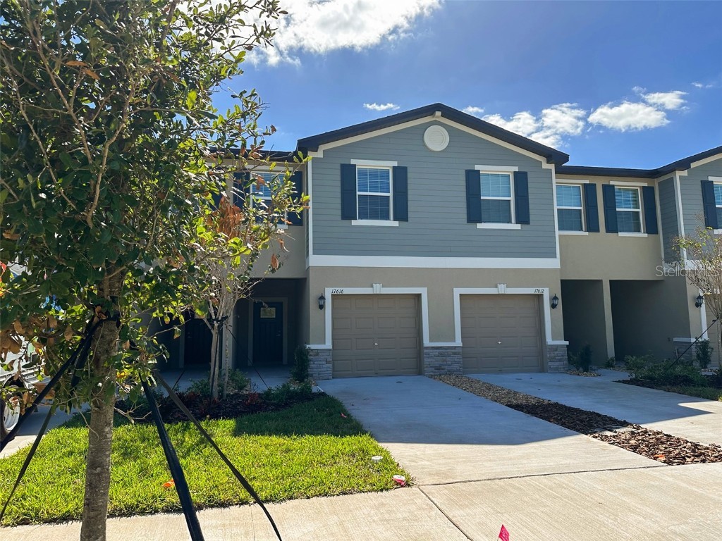 17616 Nectar Flume Drive Land O Lakes FL 34638 W7863783 image1