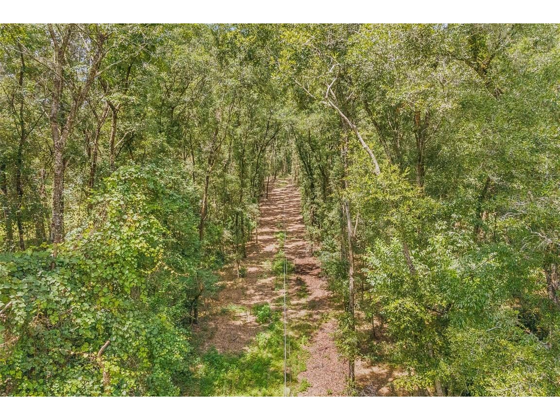 17616 SW 103rd Place Archer FL 32618 GC515453 image1