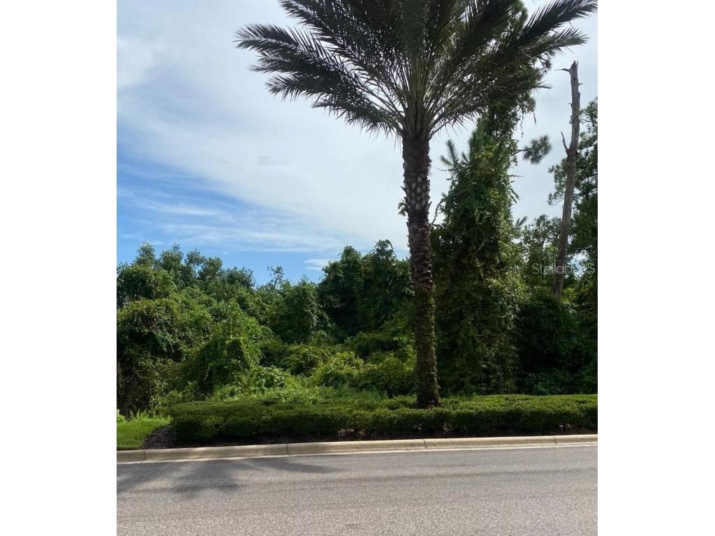 17618 Grove Blossom Way Winter Garden FL 34787 - LAKE MUDD O6123604 image1