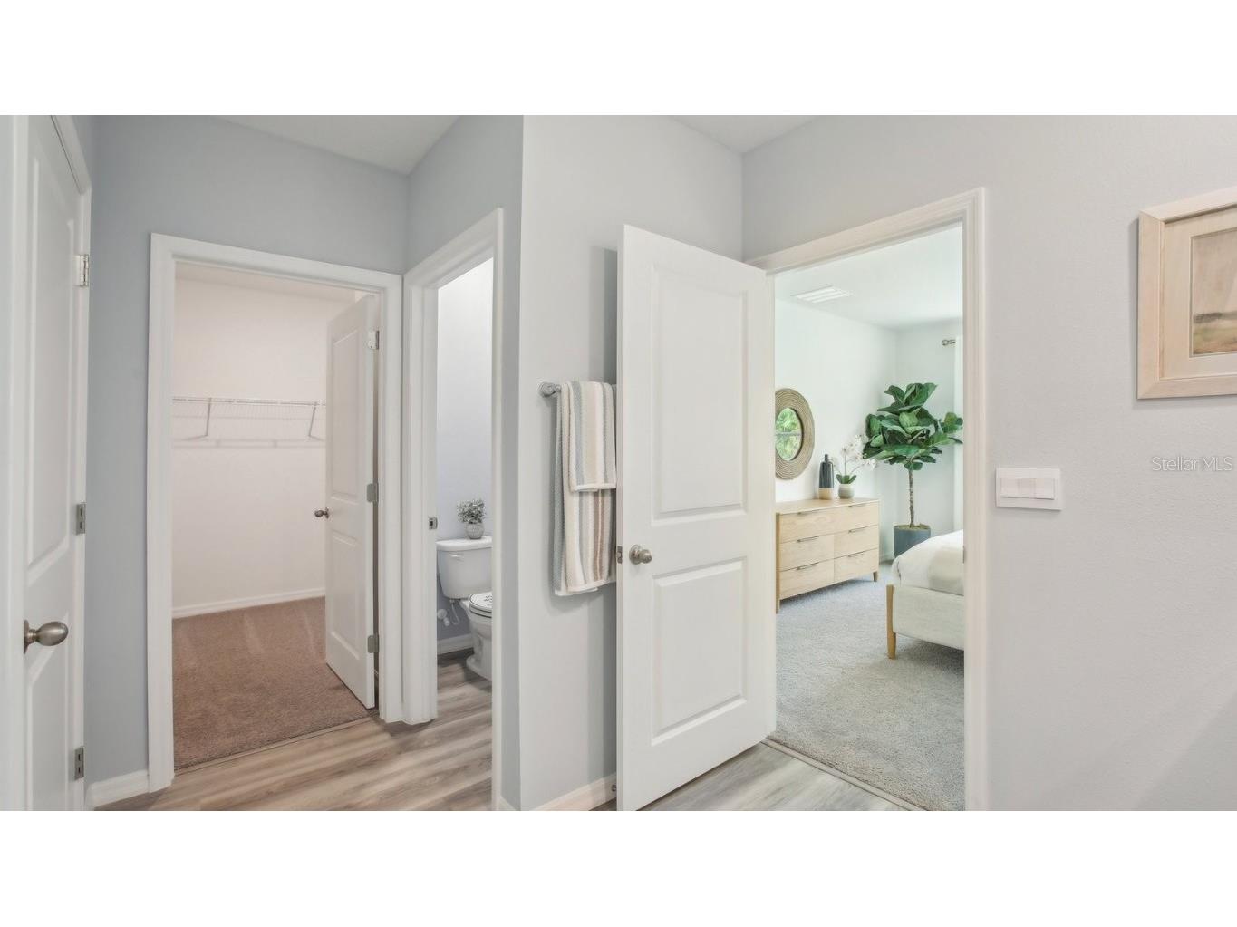 17619 Acorn Drop Road Land O Lakes FL 34638 TB8451717 image25