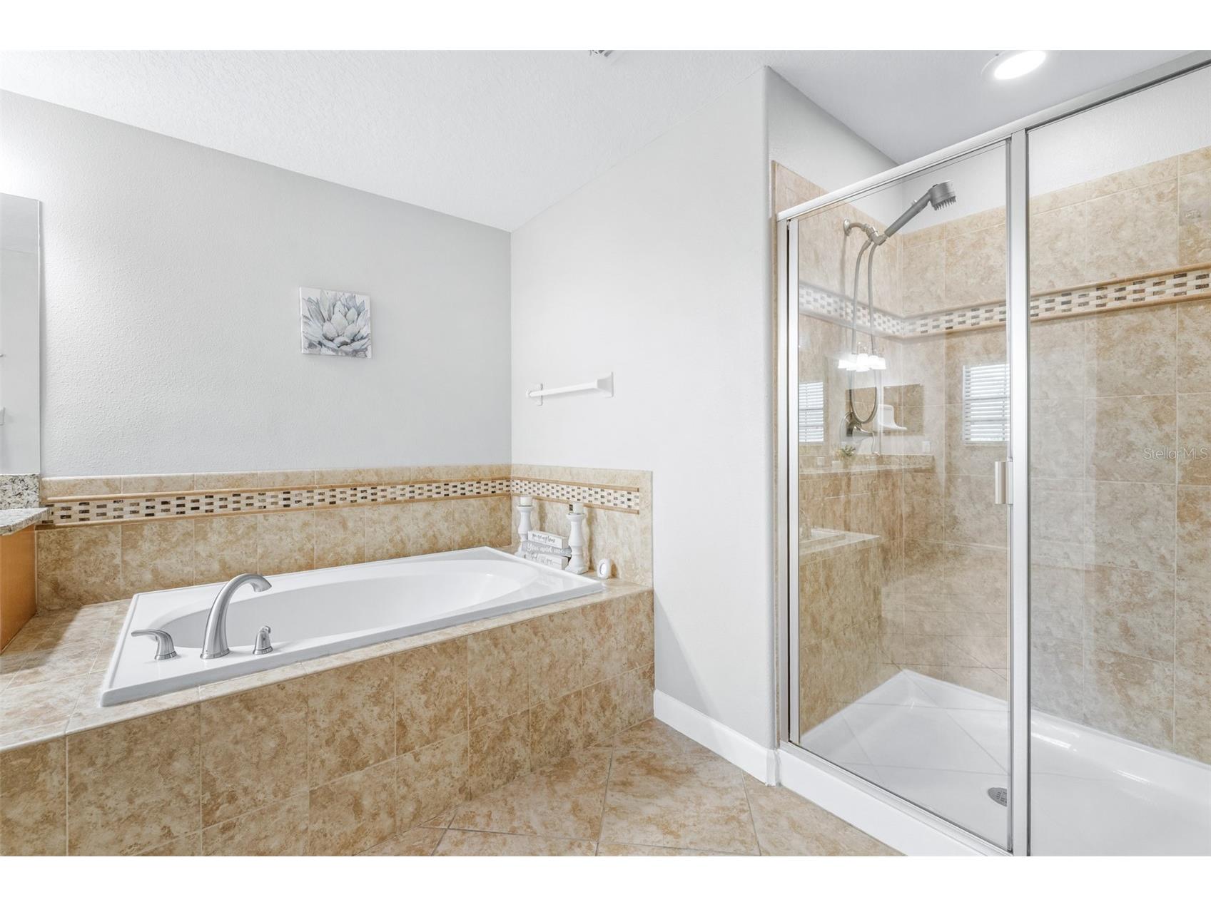 1762 Hadden Hall Place Trinity FL 34655 TB8501979 image24