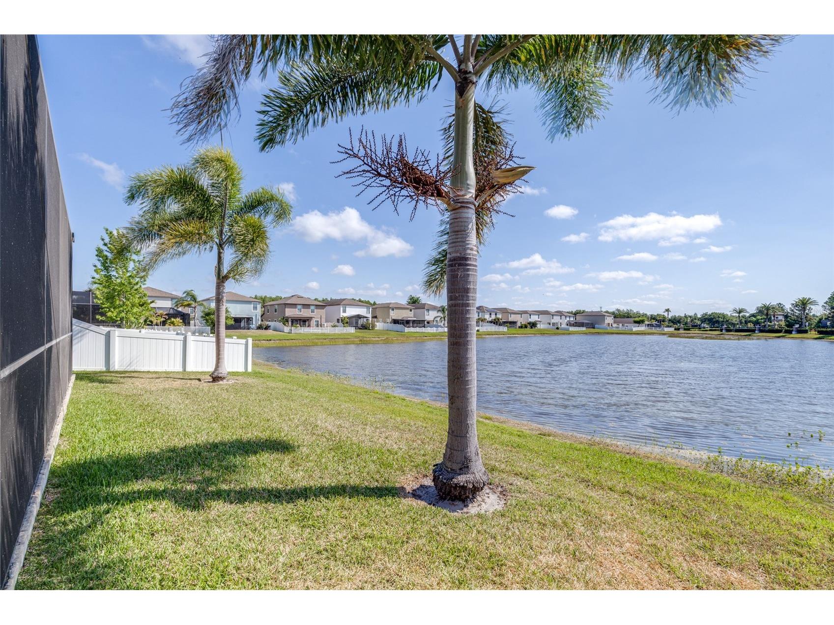 1762 Hadden Hall Place Trinity FL 34655 TB8501979 image38
