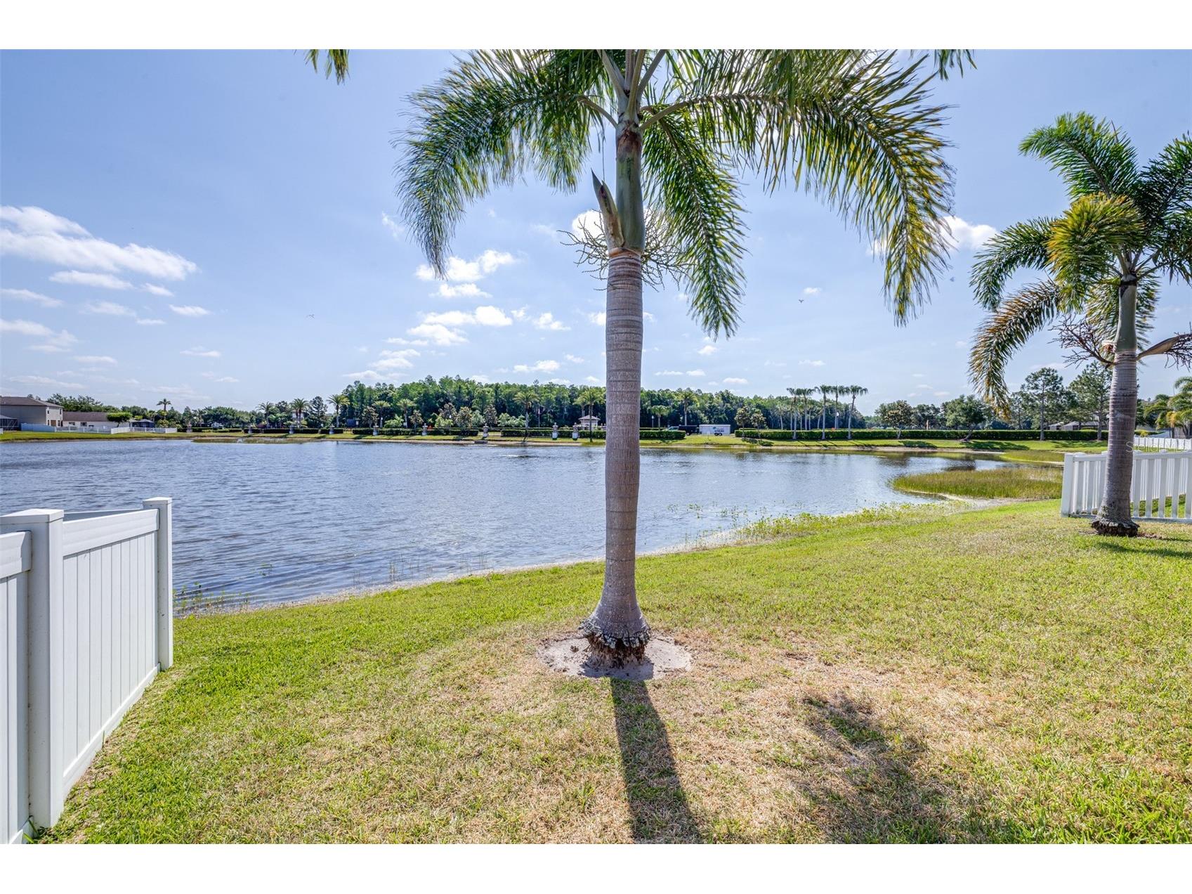 1762 Hadden Hall Place Trinity FL 34655 TB8501979 image39