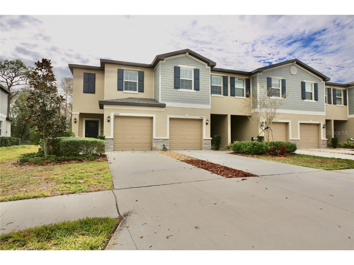 17620 Nectar Flume Drive Land O Lakes FL 34638 TB8454290 image1