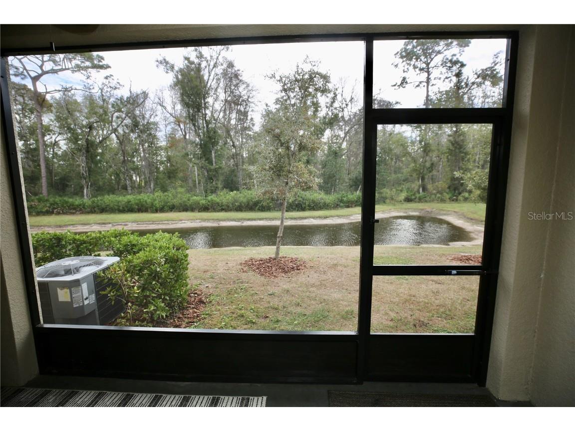 17620 Nectar Flume Drive Land O Lakes FL 34638 TB8454290 image17