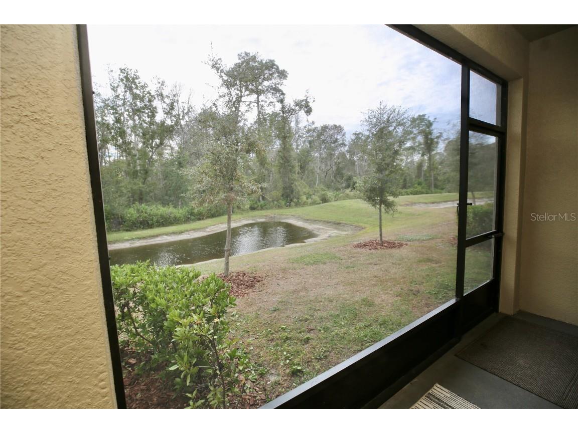 17620 Nectar Flume Drive Land O Lakes FL 34638 TB8454290 image19