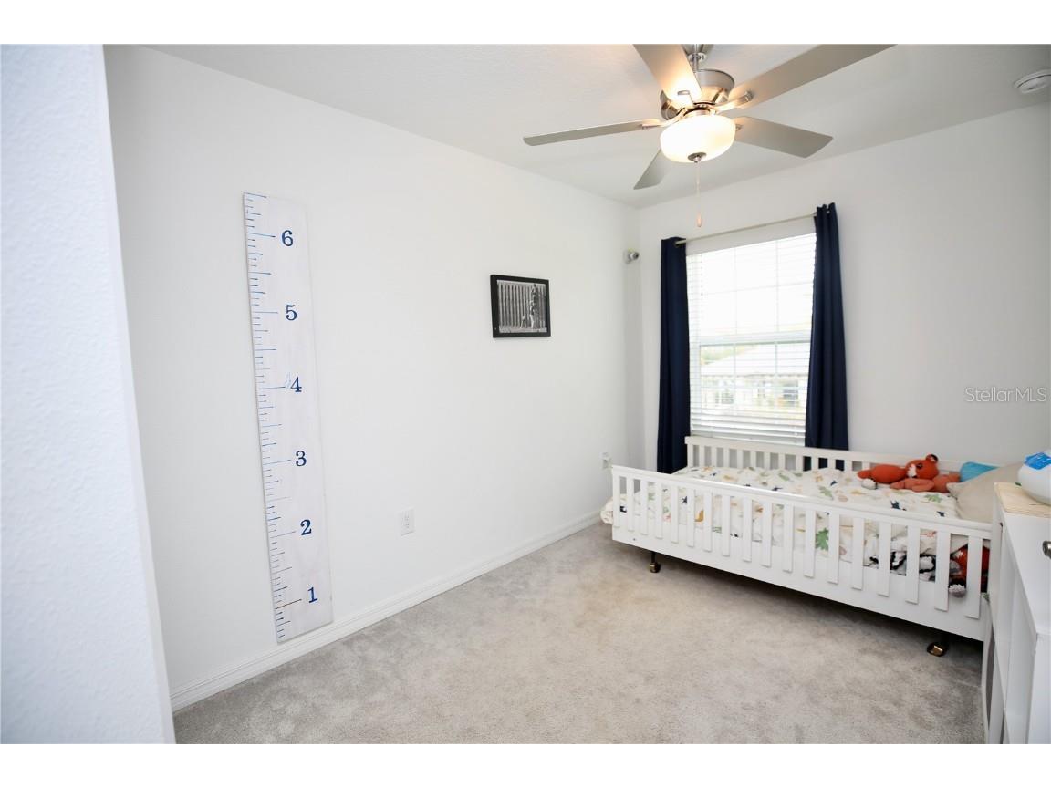 17620 Nectar Flume Drive Land O Lakes FL 34638 TB8454290 image22