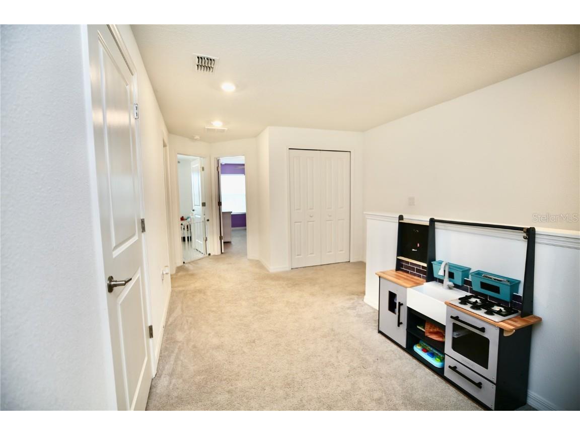 17620 Nectar Flume Drive Land O Lakes FL 34638 TB8454290 image27