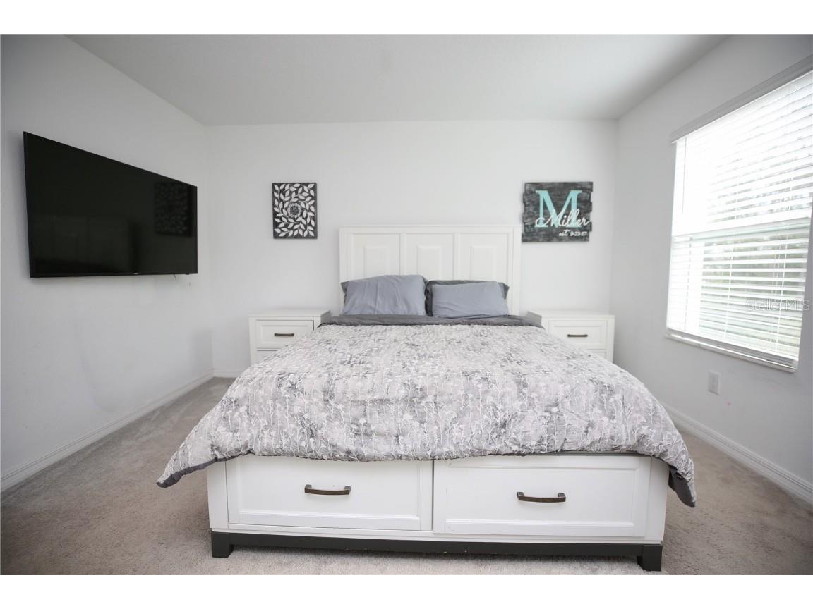 17620 Nectar Flume Drive Land O Lakes FL 34638 TB8454290 image32