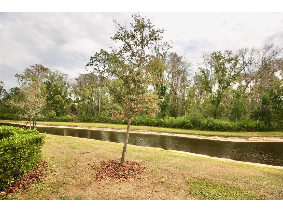 17620 Nectar Flume Drive Land O Lakes FL 34638 TB8454290 image37