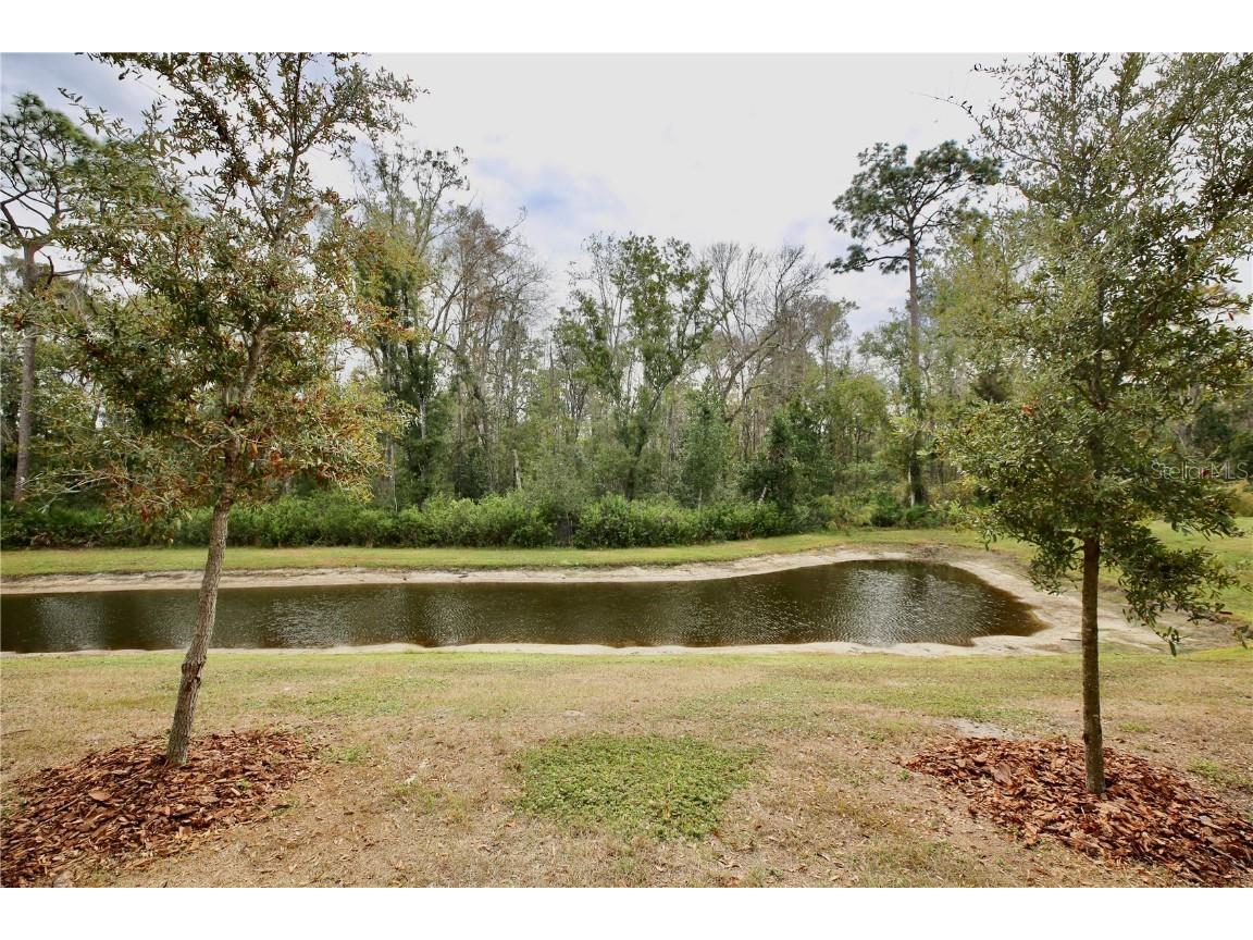 17620 Nectar Flume Drive Land O Lakes FL 34638 TB8454290 image38