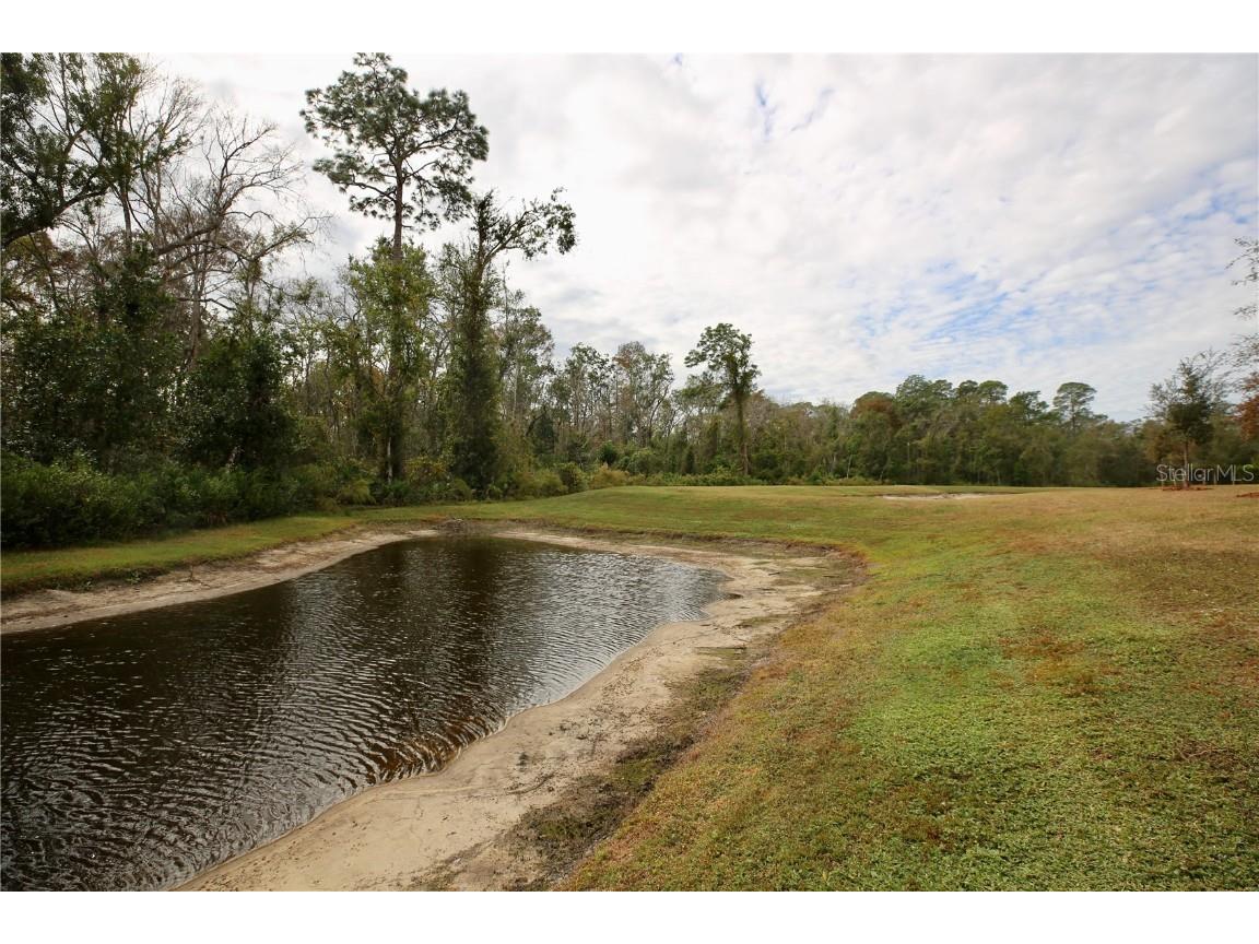 17620 Nectar Flume Drive Land O Lakes FL 34638 TB8454290 image41