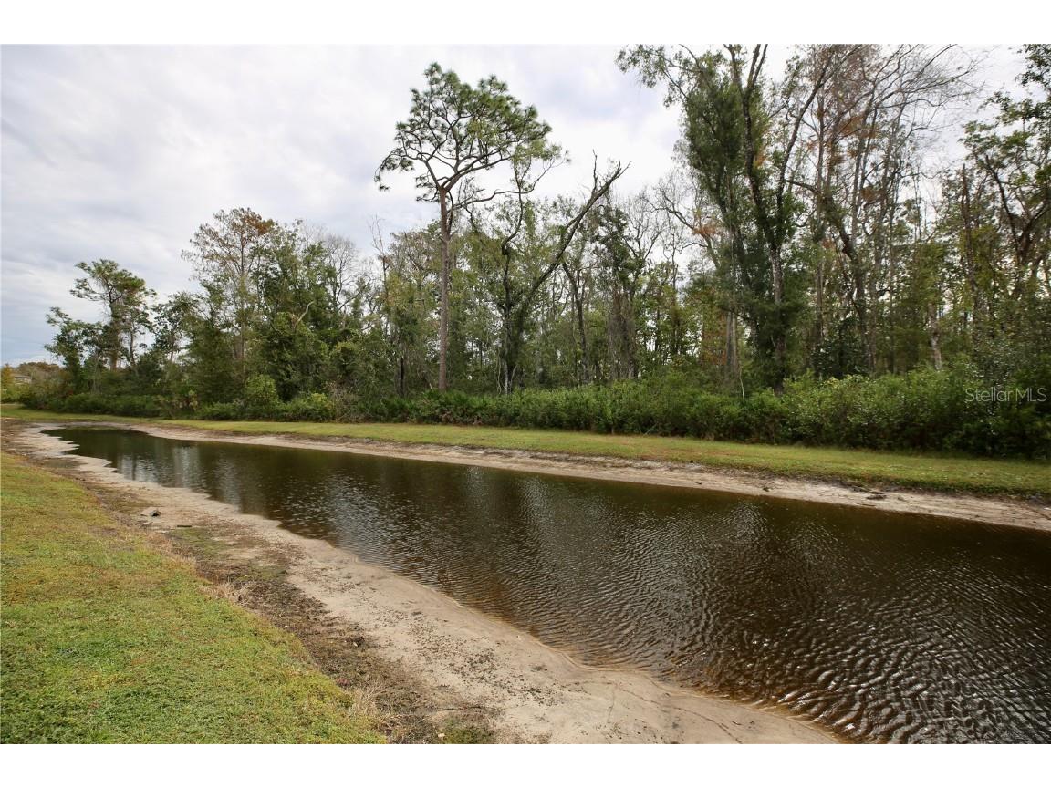 17620 Nectar Flume Drive Land O Lakes FL 34638 TB8454290 image42