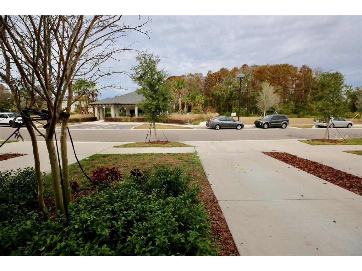 17620 Nectar Flume Drive Land O Lakes FL 34638 TB8454290 image43