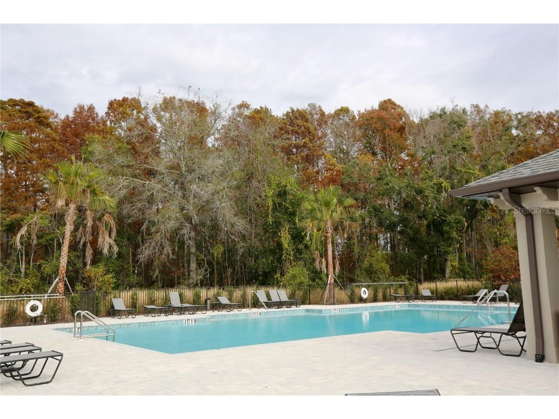 17620 Nectar Flume Drive Land O Lakes FL 34638 TB8454290 image47