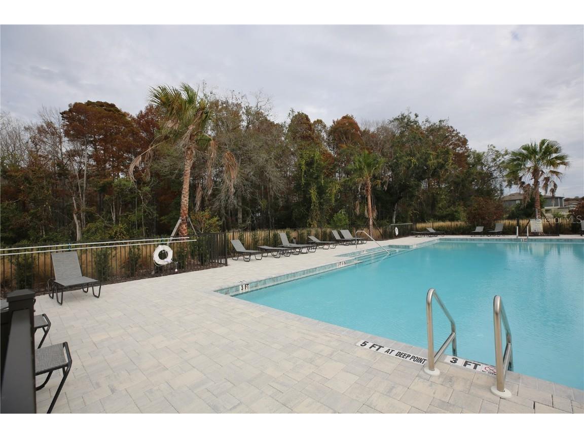 17620 Nectar Flume Drive Land O Lakes FL 34638 TB8454290 image50