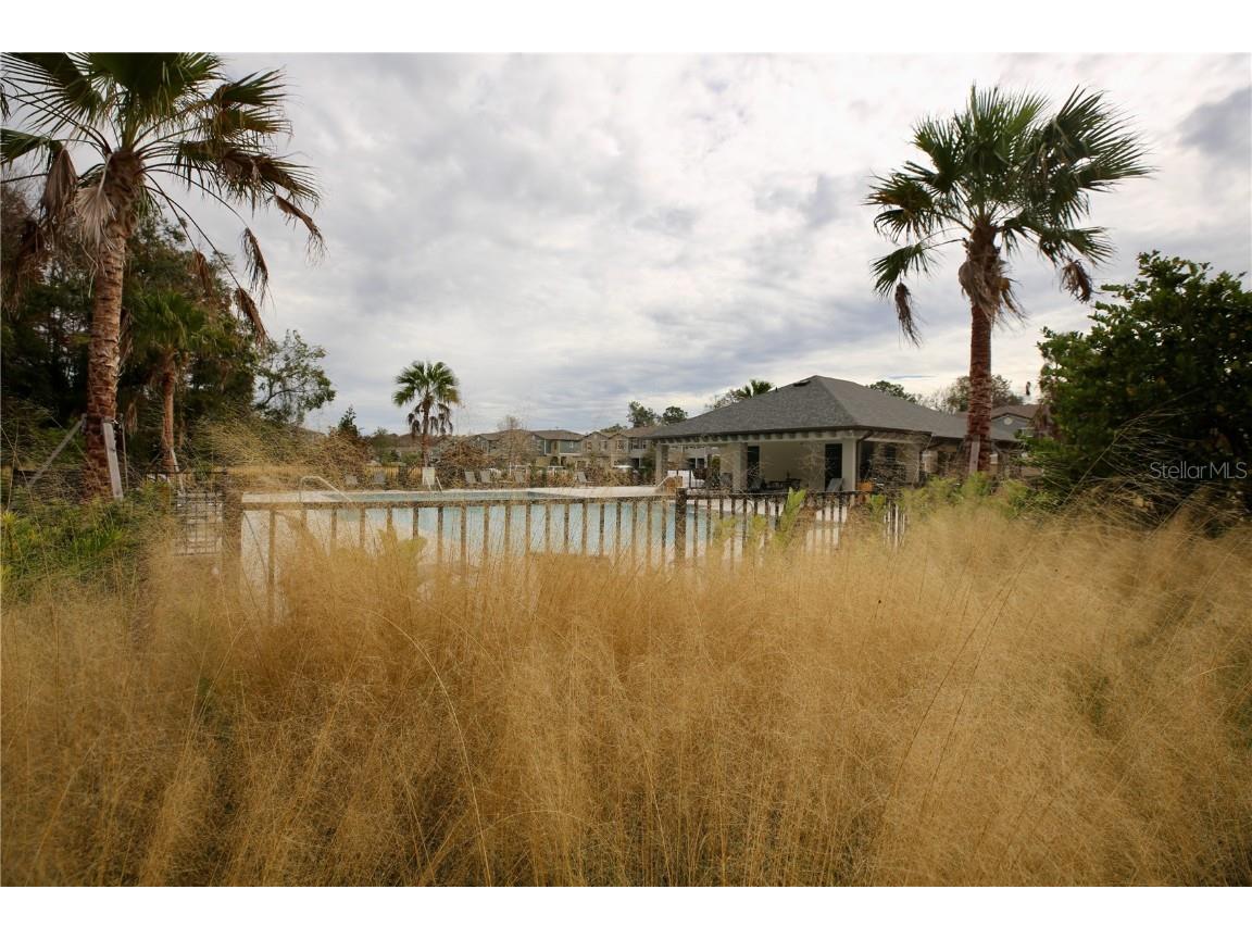 17620 Nectar Flume Drive Land O Lakes FL 34638 TB8454290 image51