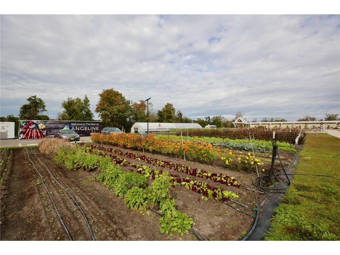 17620 Nectar Flume Drive Land O Lakes FL 34638 TB8454290 image52