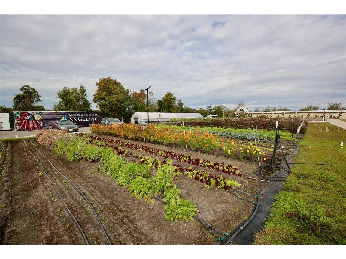 17620 Nectar Flume Drive Land O Lakes FL 34638 TB8454290 image53