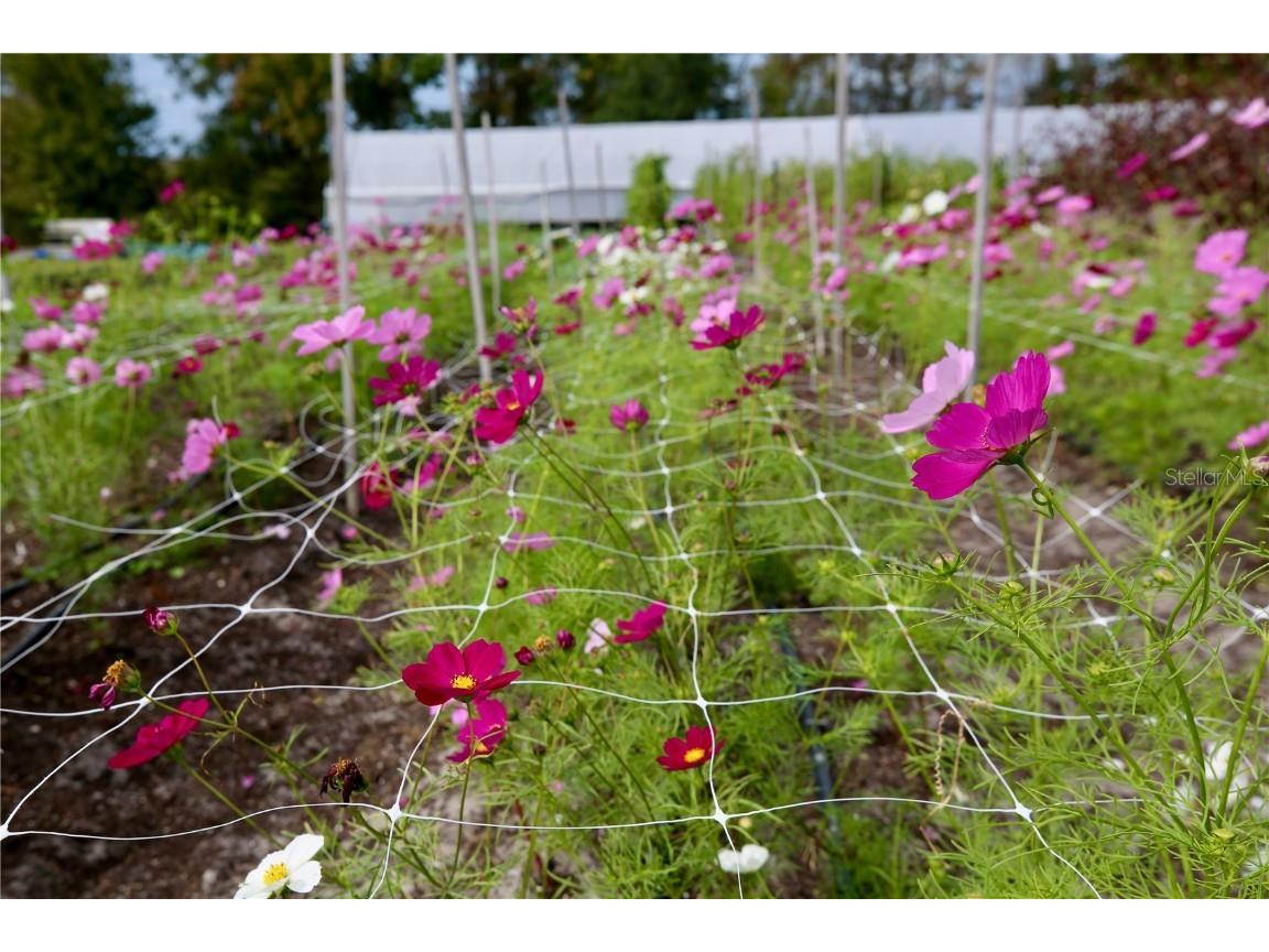 17620 Nectar Flume Drive Land O Lakes FL 34638 TB8454290 image55