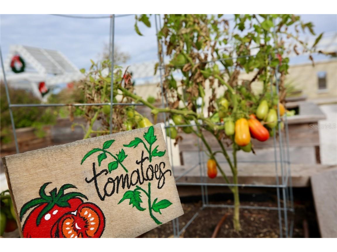 17620 Nectar Flume Drive Land O Lakes FL 34638 TB8454290 image57