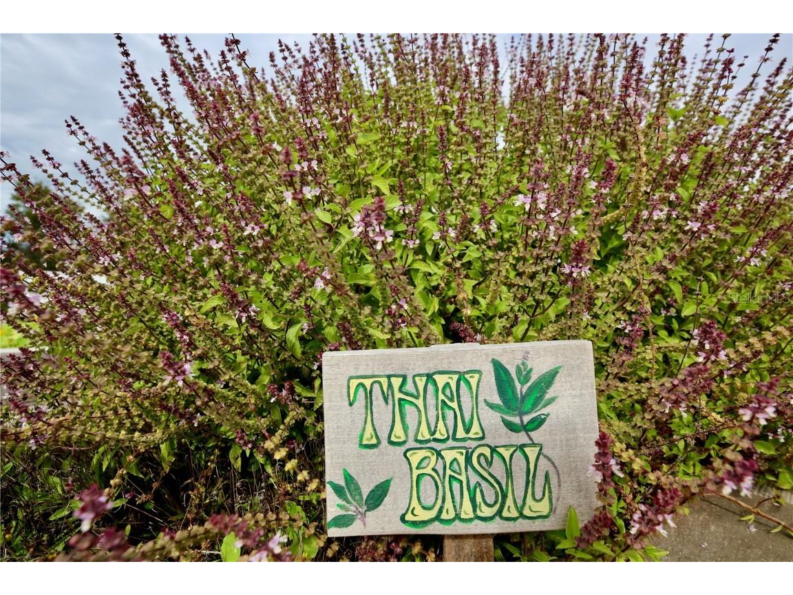 17620 Nectar Flume Drive Land O Lakes FL 34638 TB8454290 image58