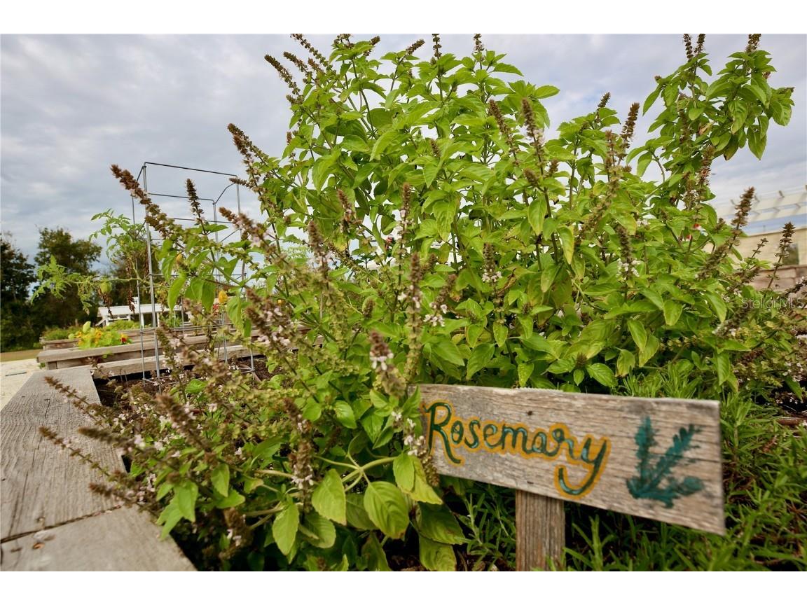 17620 Nectar Flume Drive Land O Lakes FL 34638 TB8454290 image61