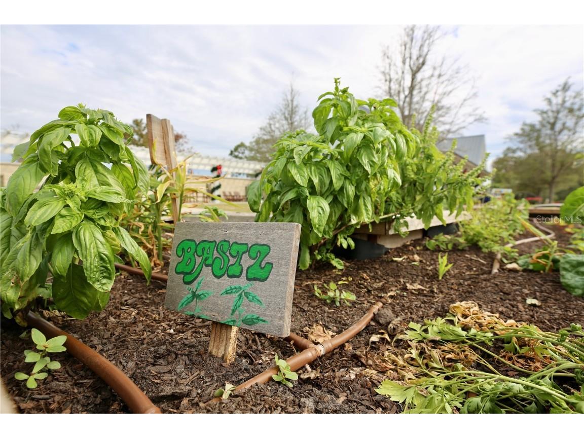 17620 Nectar Flume Drive Land O Lakes FL 34638 TB8454290 image62