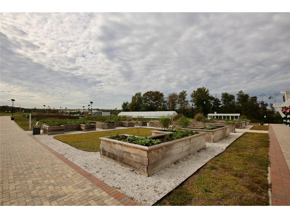 17620 Nectar Flume Drive Land O Lakes FL 34638 TB8454290 image63