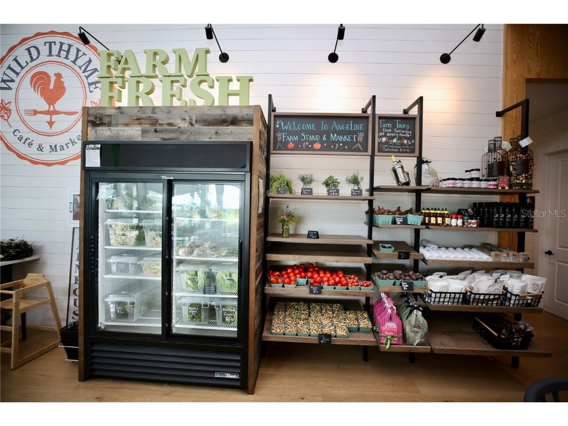 17620 Nectar Flume Drive Land O Lakes FL 34638 TB8454290 image67