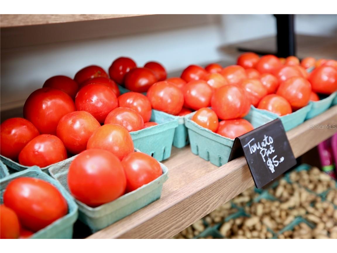 17620 Nectar Flume Drive Land O Lakes FL 34638 TB8454290 image68