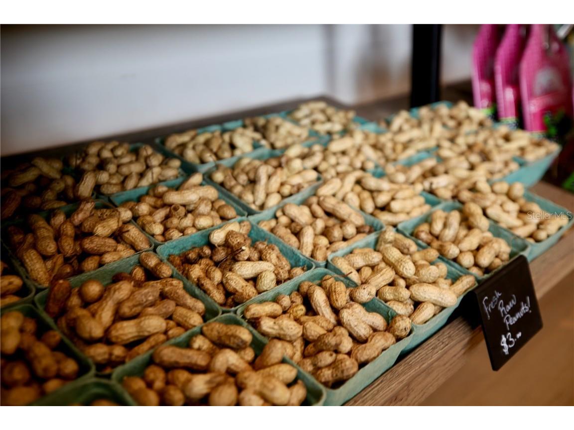 17620 Nectar Flume Drive Land O Lakes FL 34638 TB8454290 image69