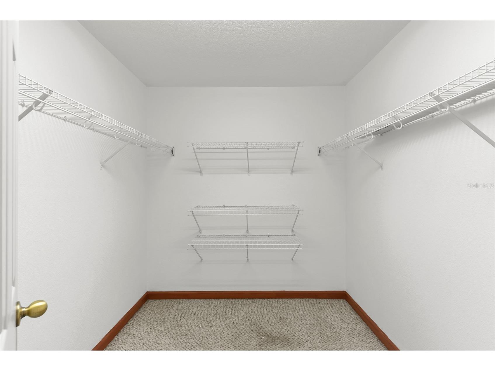 17620 Poyner Road N Polk City FL 33868 P4937643 image27