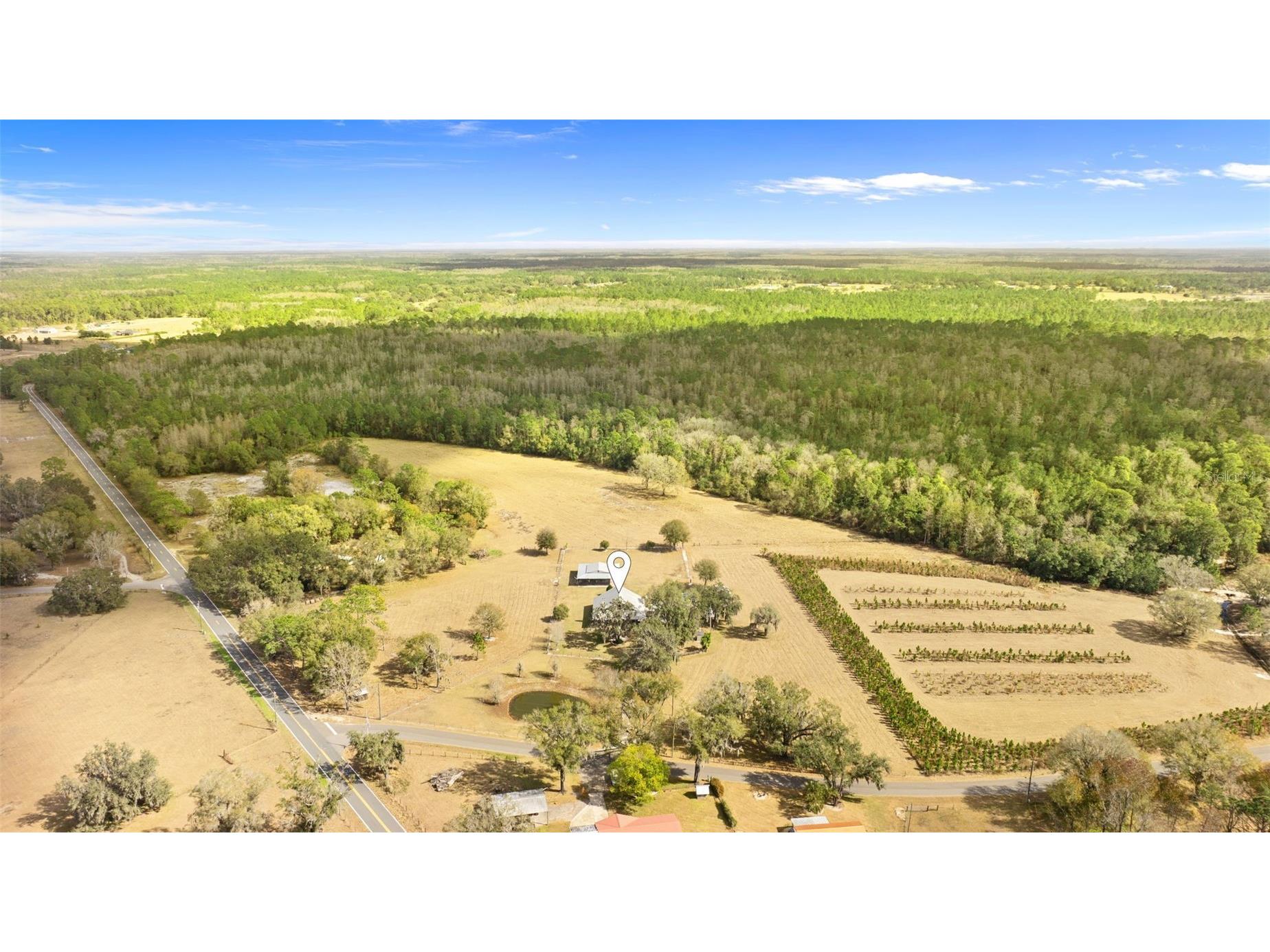 17620 Poyner Road N Polk City FL 33868 P4937643 image41