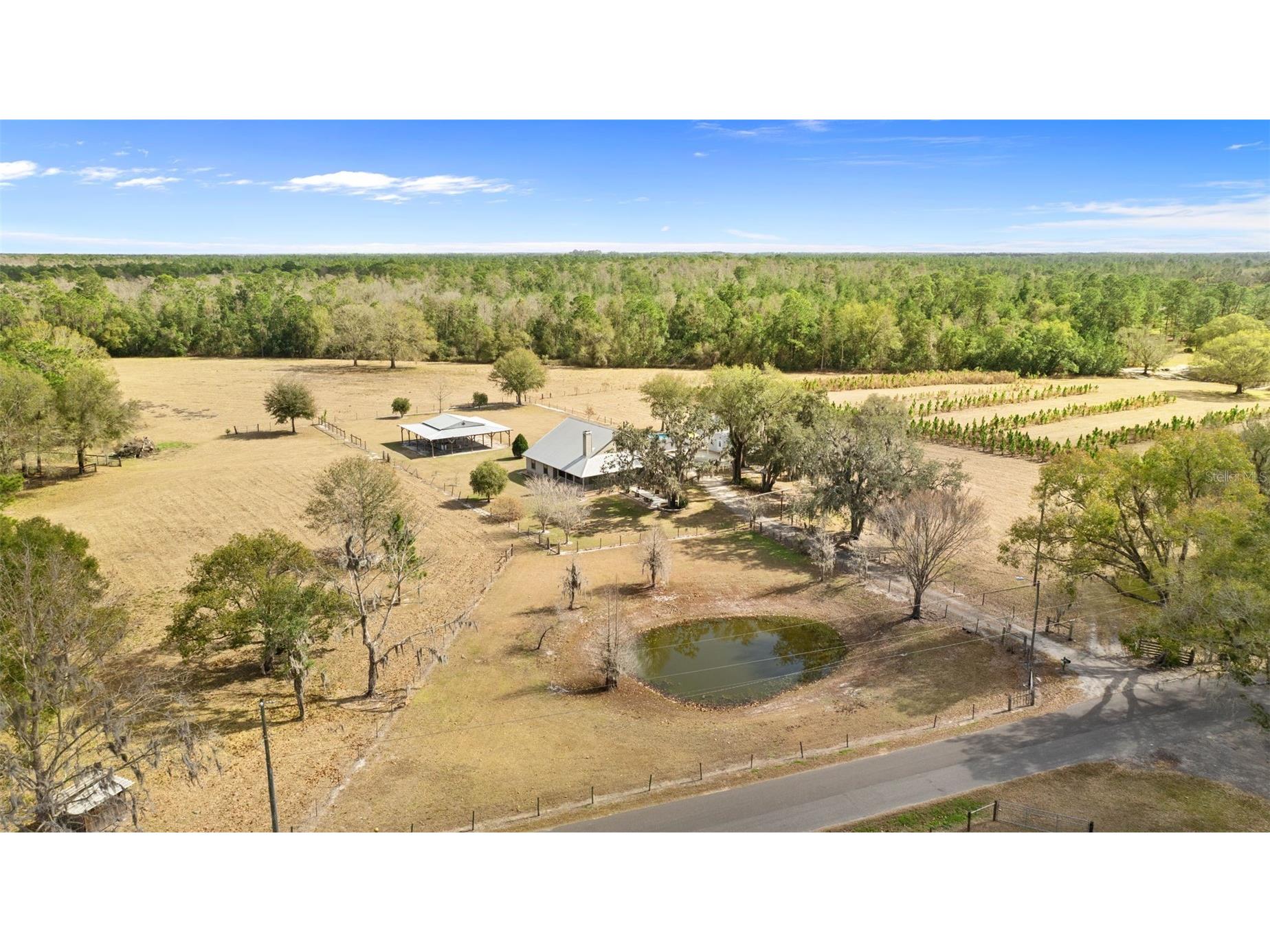 17620 Poyner Road N Polk City FL 33868 P4937643 image44