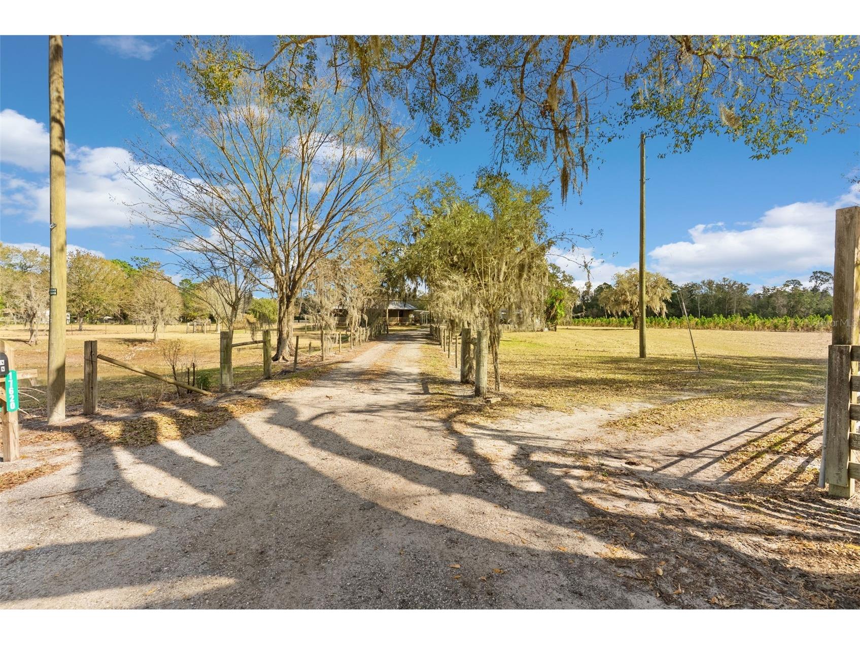 17620 Poyner Road N Polk City FL 33868 P4937643 image46