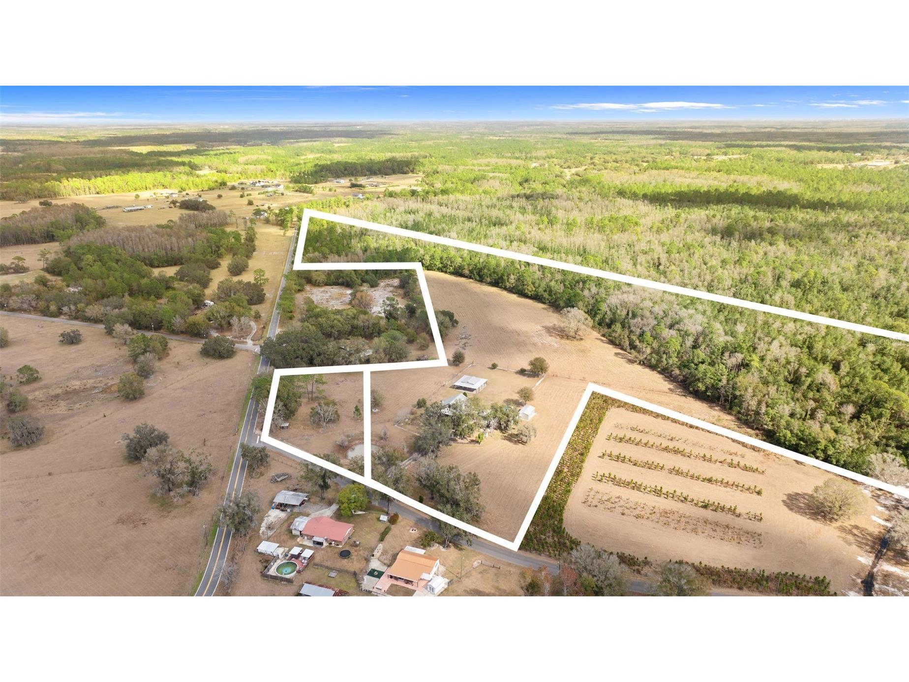 17620 Poyner Road N Polk City FL 33868 P4937643 image7