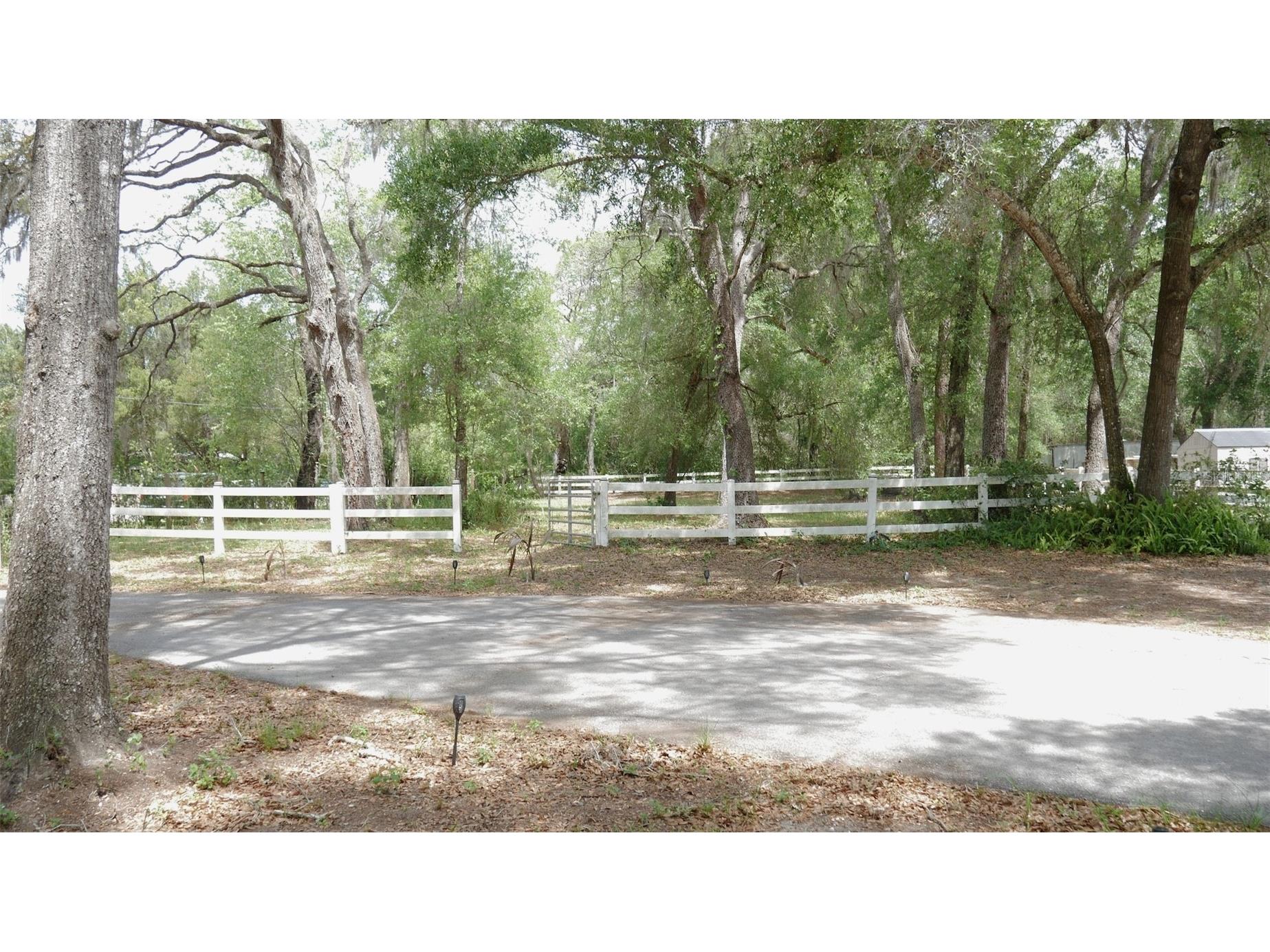 17622 Caufield Road Spring Hill FL 34610 W7884777 image3